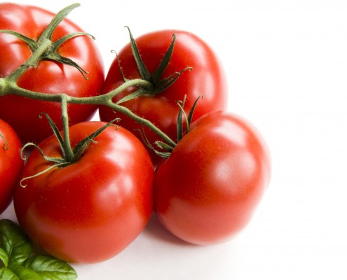 Cluster of five tomatoes on a white background with basil.
